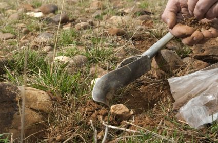 La surface d'habitat accessible, un facteur clé de succès des populations animales