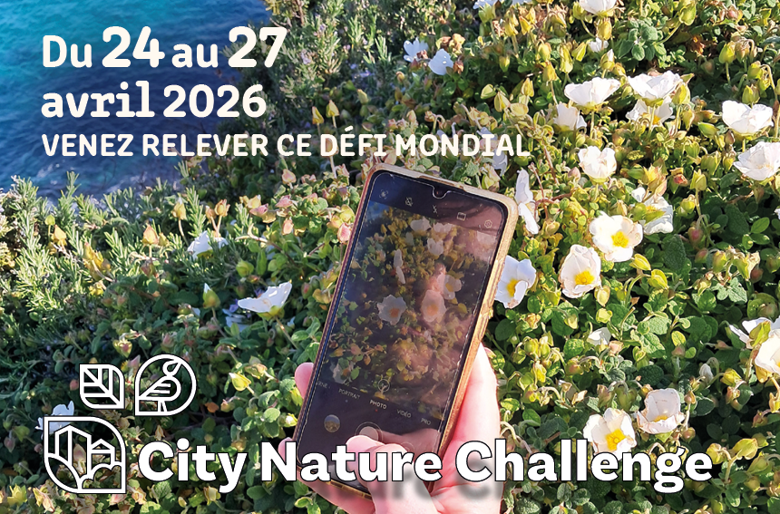 City Nature Challenge 2026.