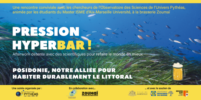 Pression HyperBar ! Posidonie, notre alliée pour habiter durablement le littoral.