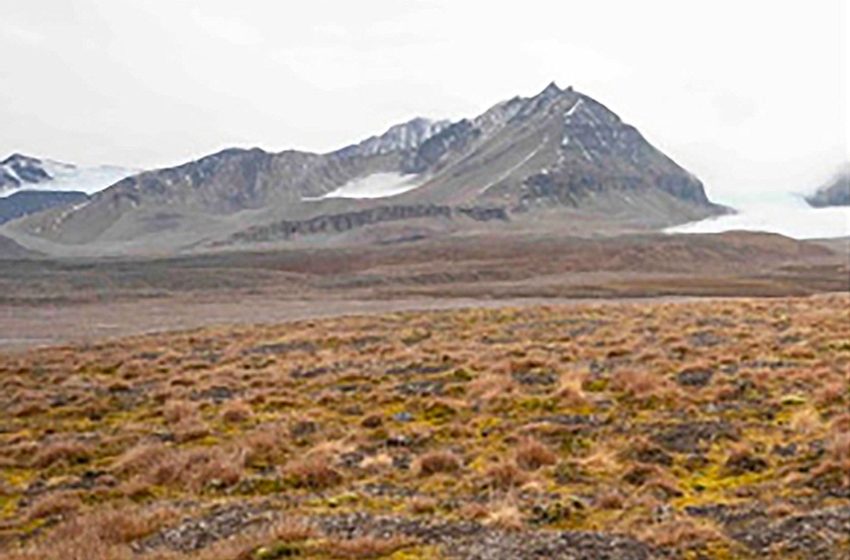 Bayelva Permafrost Monitoring Observatory near Ny-Ålesund, Svalbard