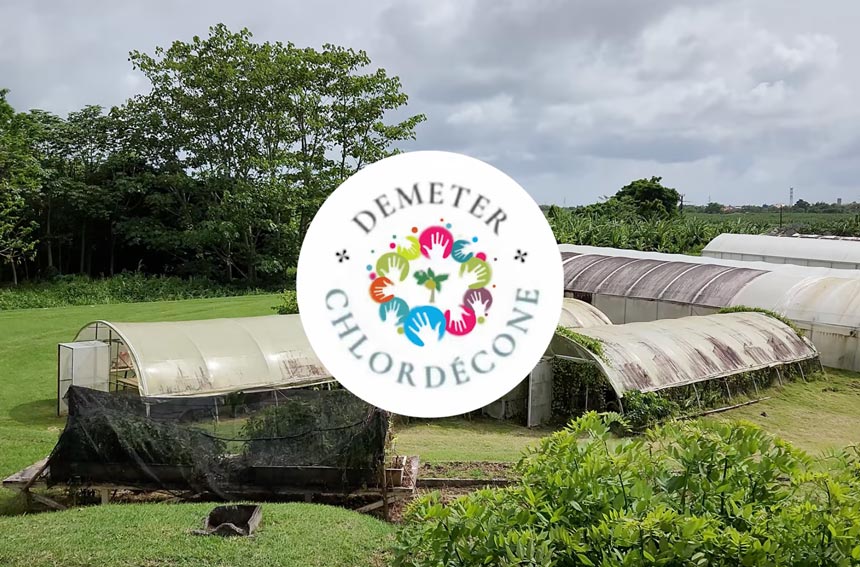 Dépolluer des sols contaminés au chlordécone
