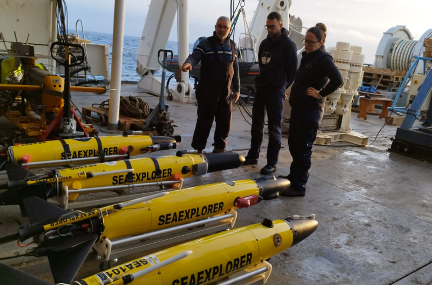 Figure: Déploiement de 4 gliders en flottille en 2025 et 2026 à partir des bateau de la flotte océanographique française, en mer Méditerranée pour observer et enregistrer la bioluminescence marine en mer Méditerranée.